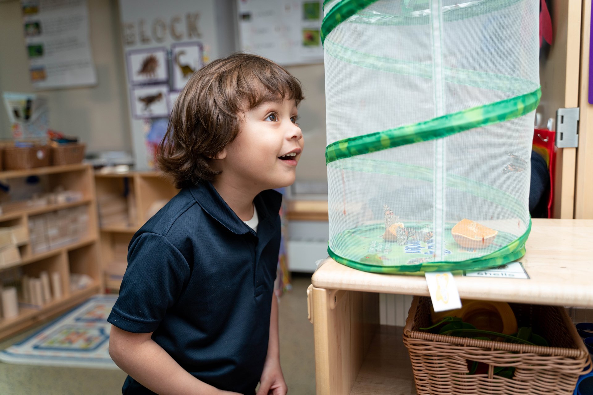 GoLD Pre-K students participating in classroom activities